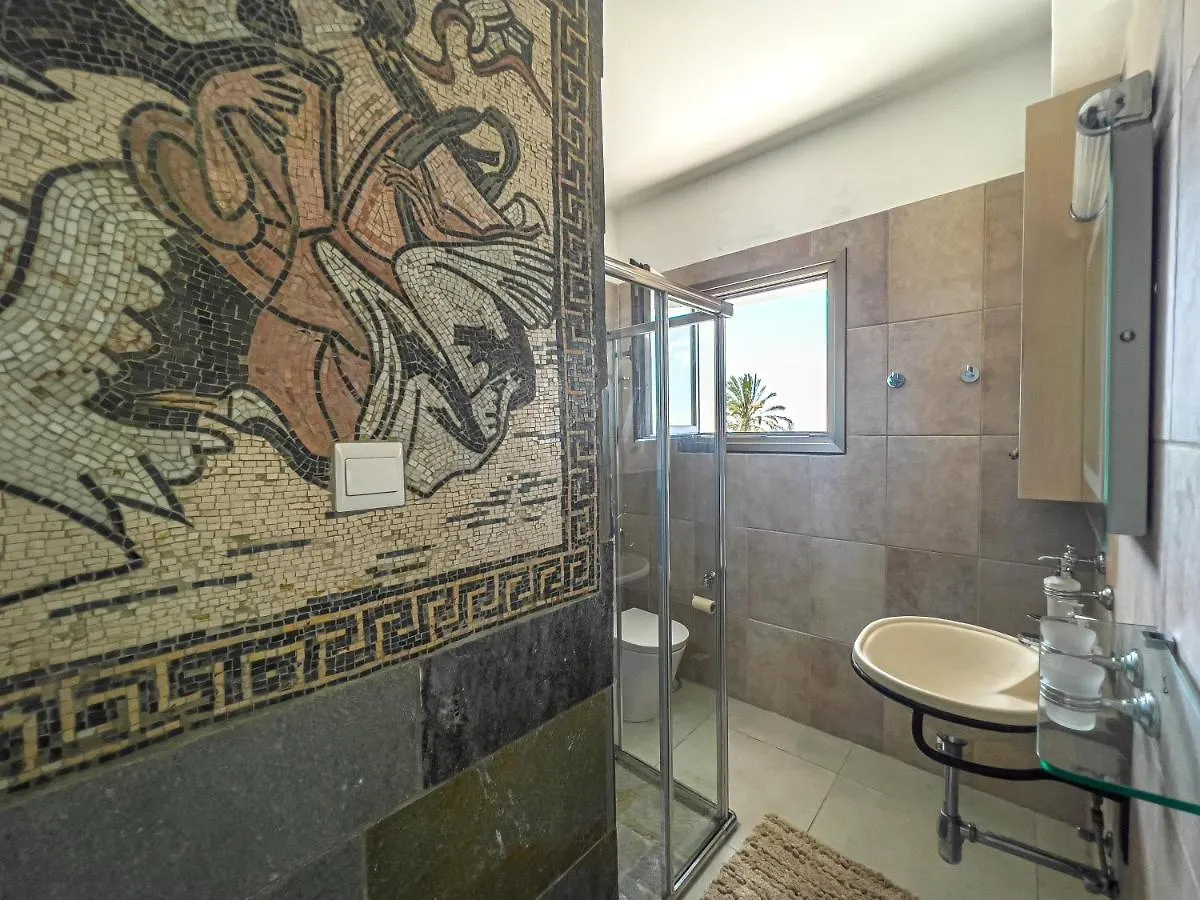 Erato Seafront Luxury Villa Protaras 0*,